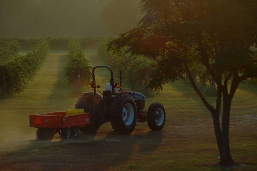 Georgia Vineyard New Holland Tractor - Horse Creek Winery